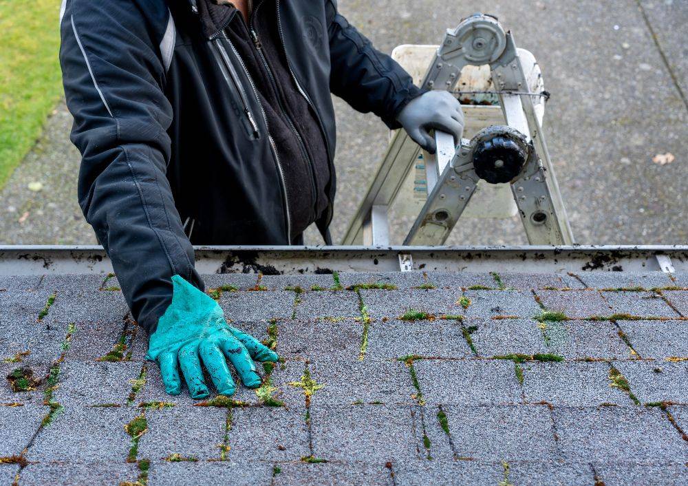 Tri County Home Inspection (3)